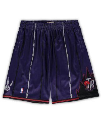 Mens Mitchell Ness Purple Toronto Raptors Big Tall Hardwood Classics Team Swingman Shorts Product Image