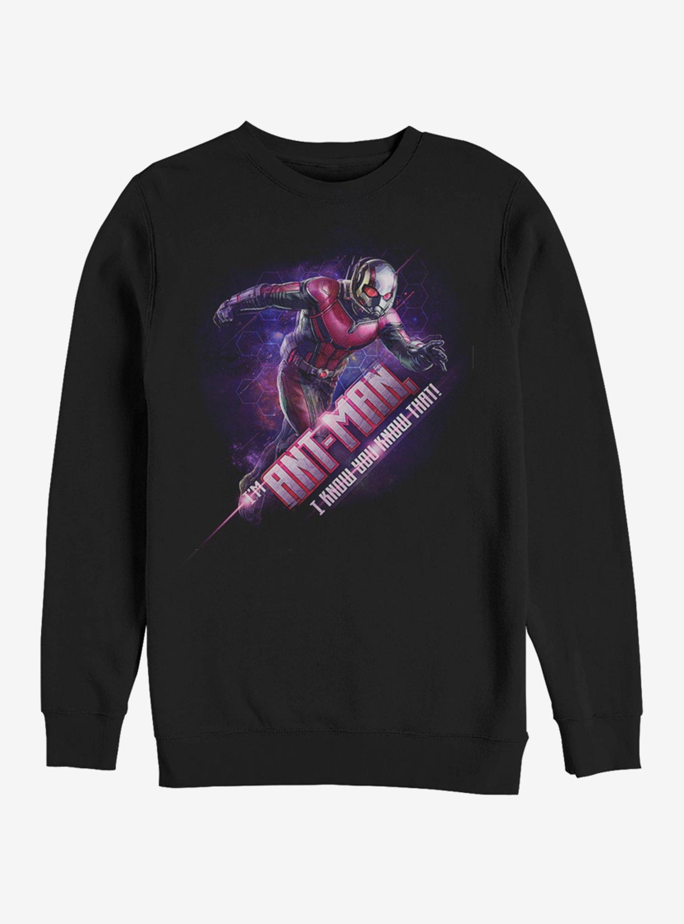 Marvel Avengers: Endgame Ant-Man Hex Sweatshirt Product Image