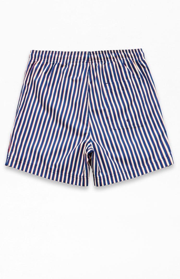 Mens Stripe 4.5 Swim Trunks Product Image