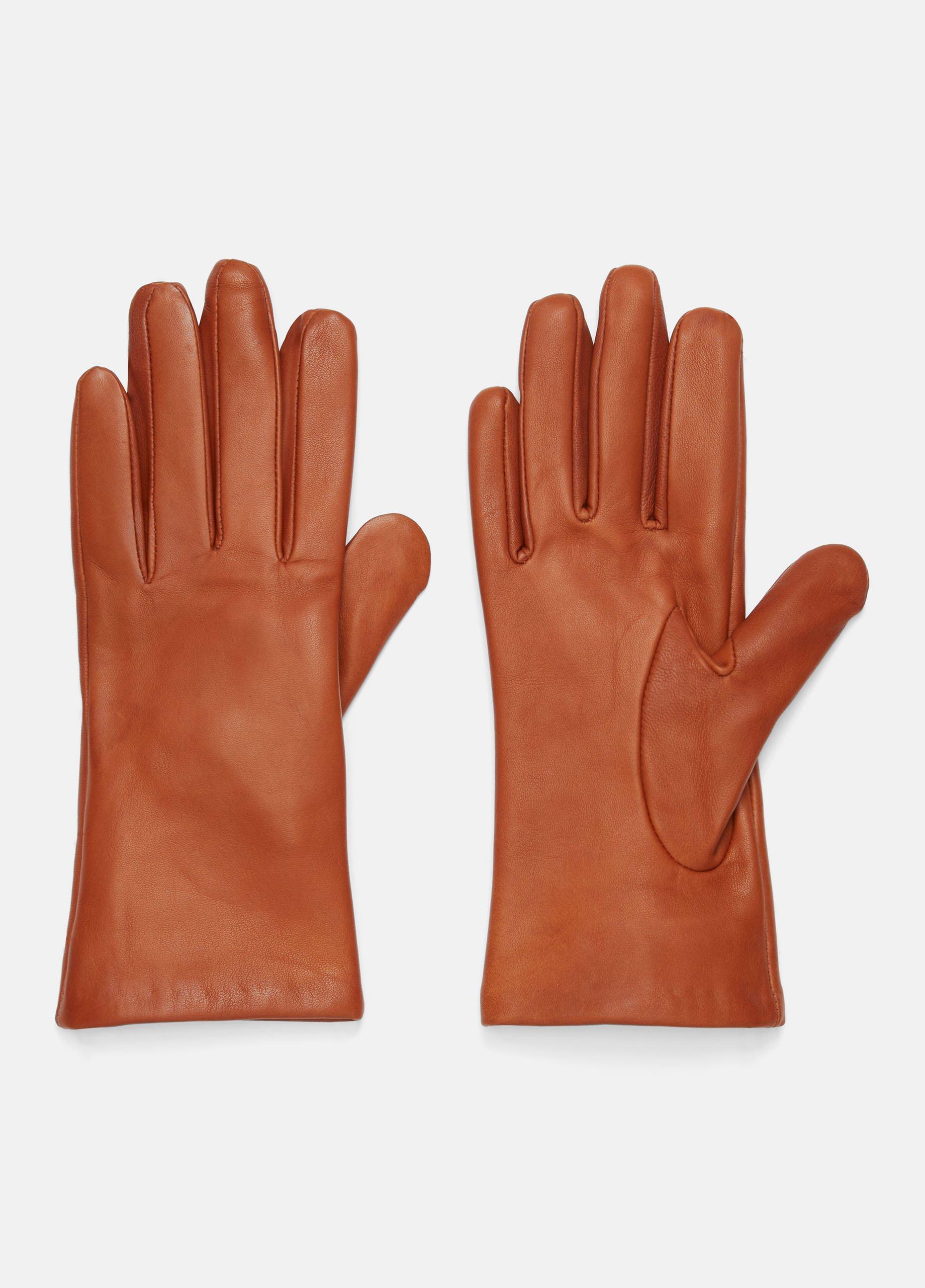 Cashmere-Lined Short Leather Glove Product Image