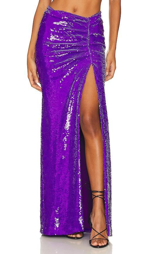 Sequin Maxi Skirt Product Image