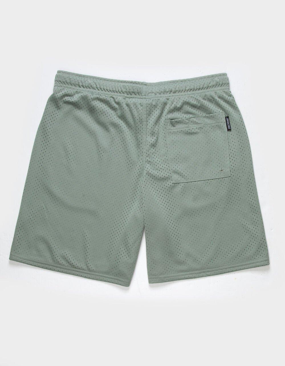 SANTA CRUZ Planet Dot Mens Mesh Shorts Product Image