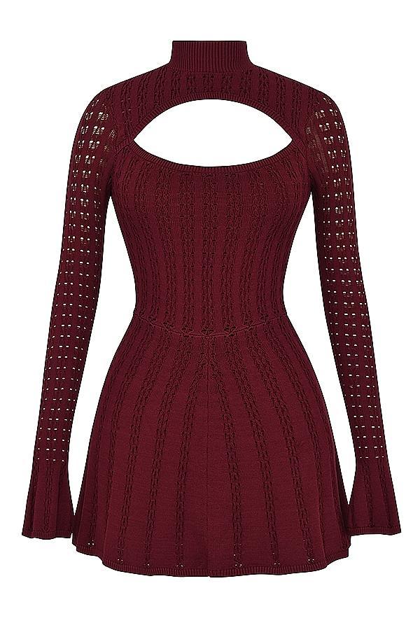 Evalina Wine Knit Corset Dress Product Image