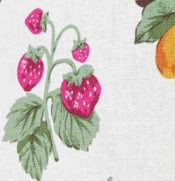 French Fruit Skirt Product Image