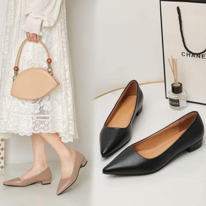 Low Heel Pointed Plain Pumps Product Image