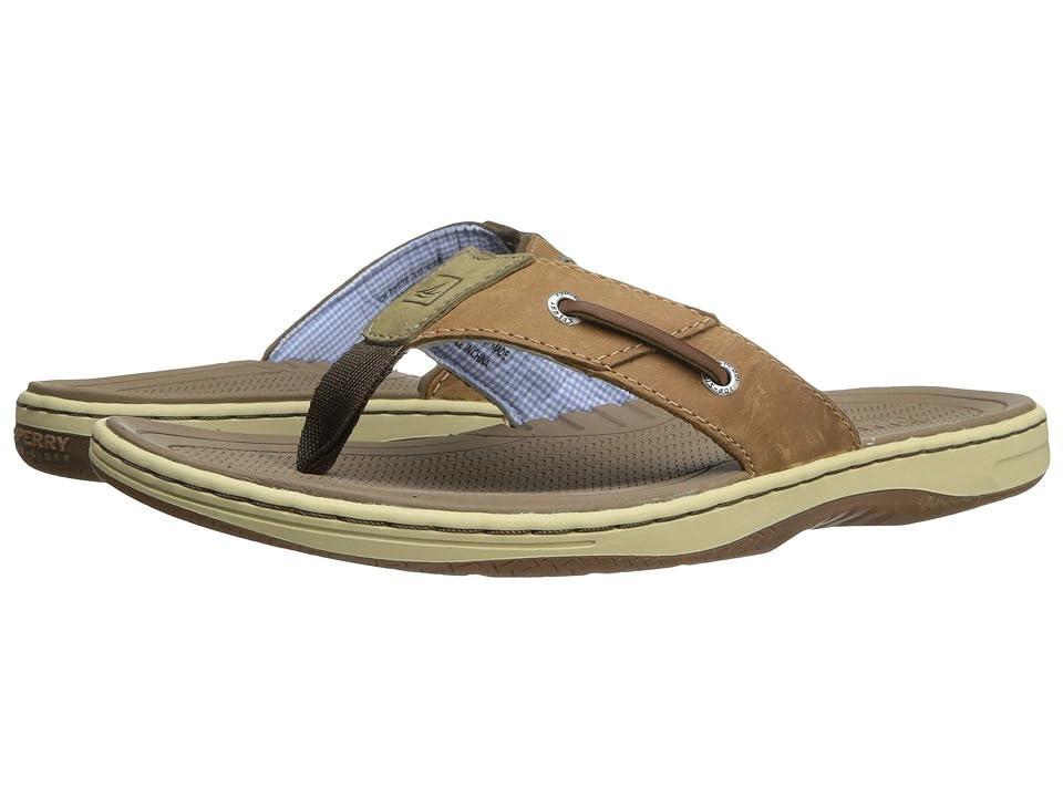 Sperry Mens Baitfish Sandals Mens Shoes Product Image