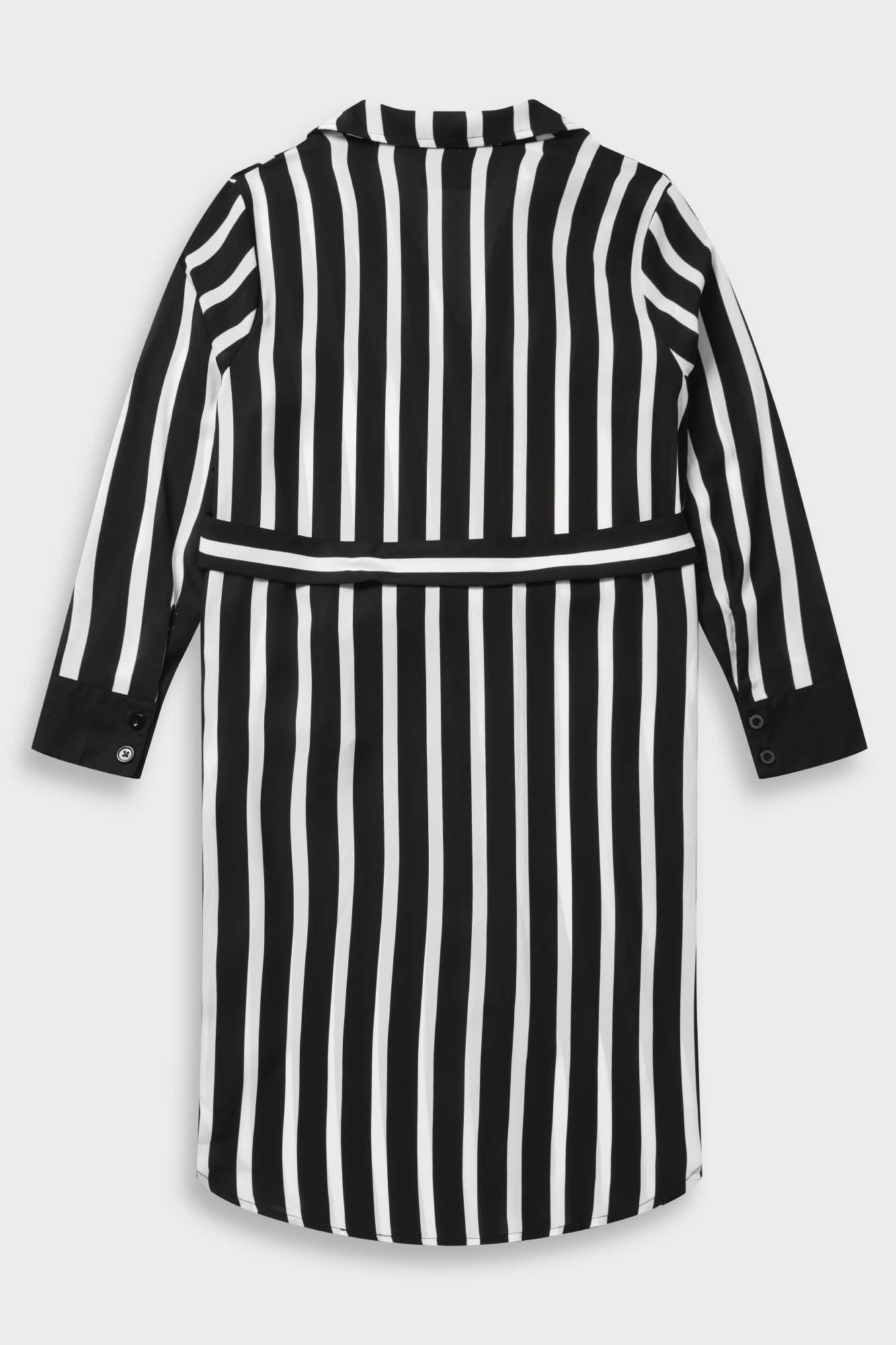 Zita's Ruins Shirt Dress [PLUS] Female Product Image