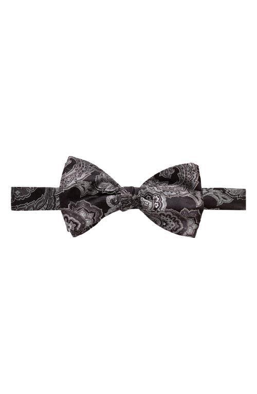 Eton Paisley Bow Tie Product Image