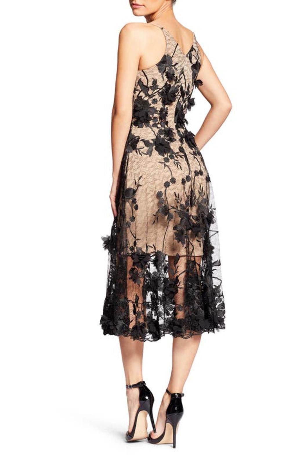 Audrey Embroidered Fit & Flare Dress In Black,nude Product Image