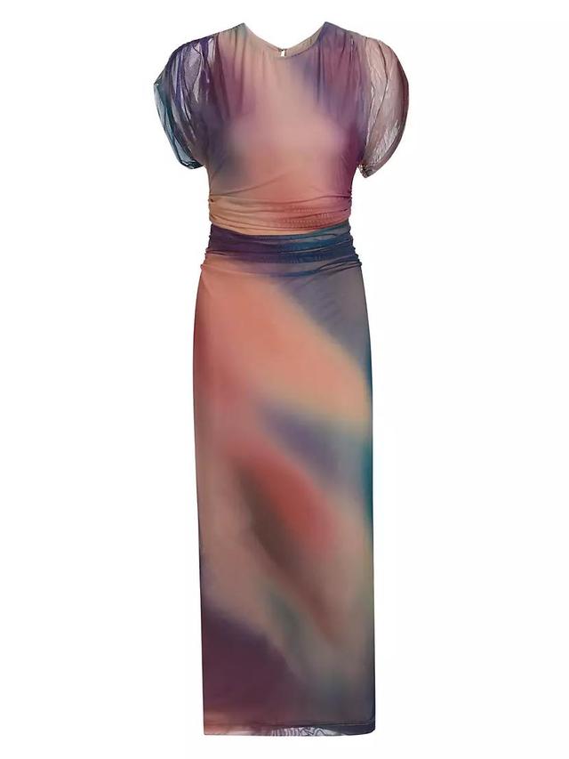 Celestia Printed Mesh Maxi Dress Product Image