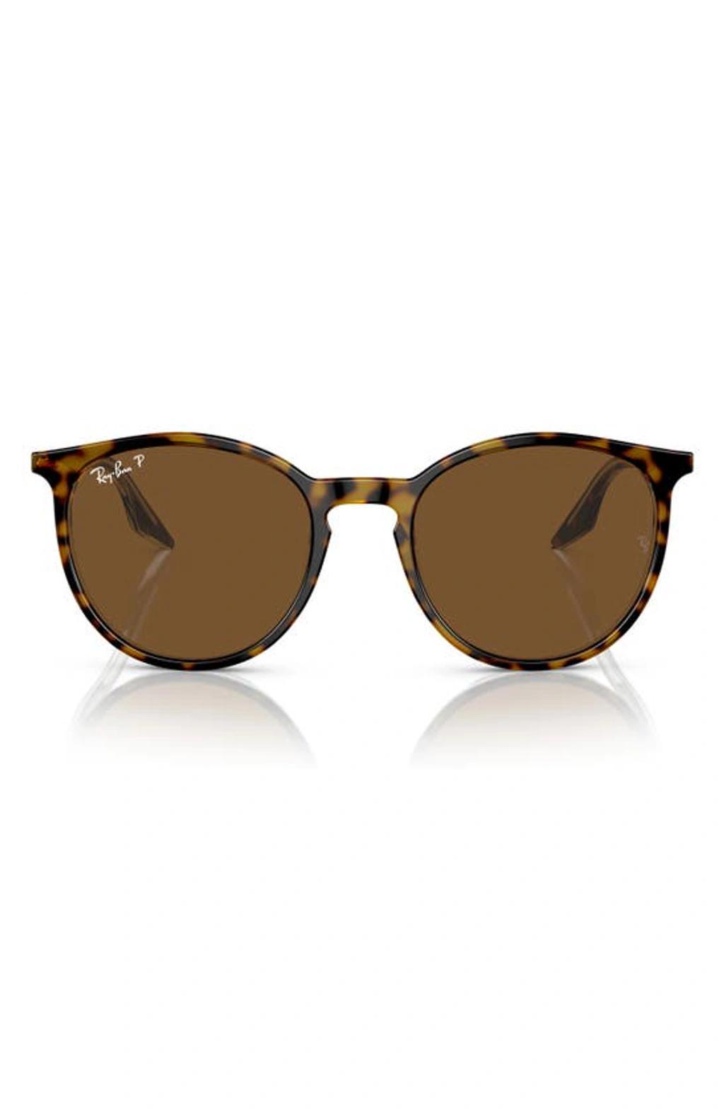 RAY BAN 51mm Polarized Phantos Sunglasses In Havana Product Image