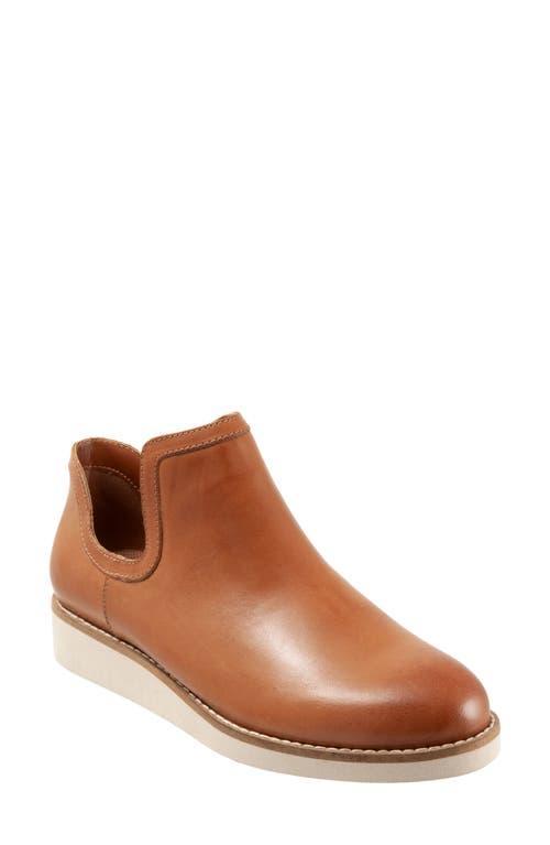 SoftWalk Woodbury (Luggage) Women's Boots Product Image