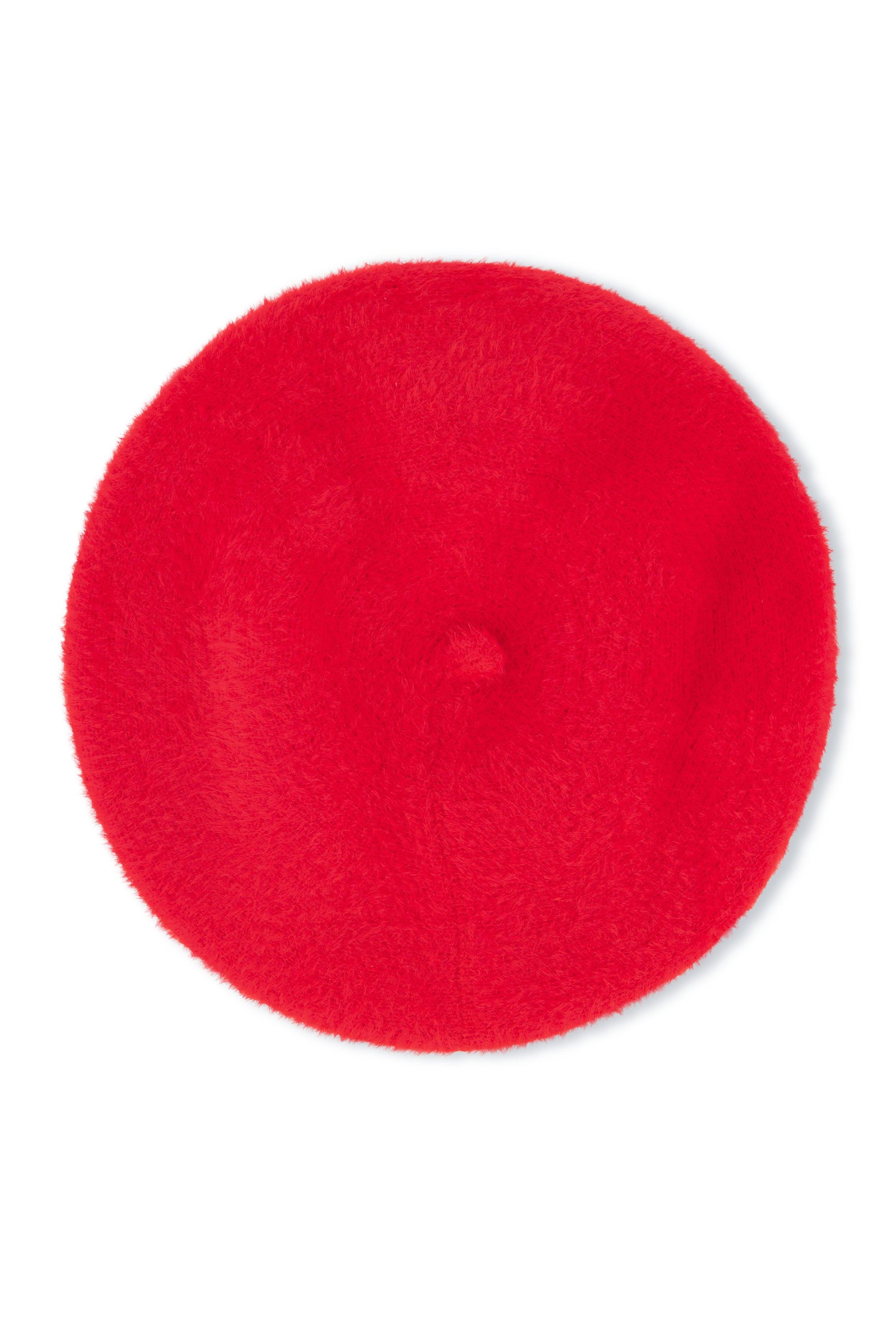 Wool Beret Female Product Image