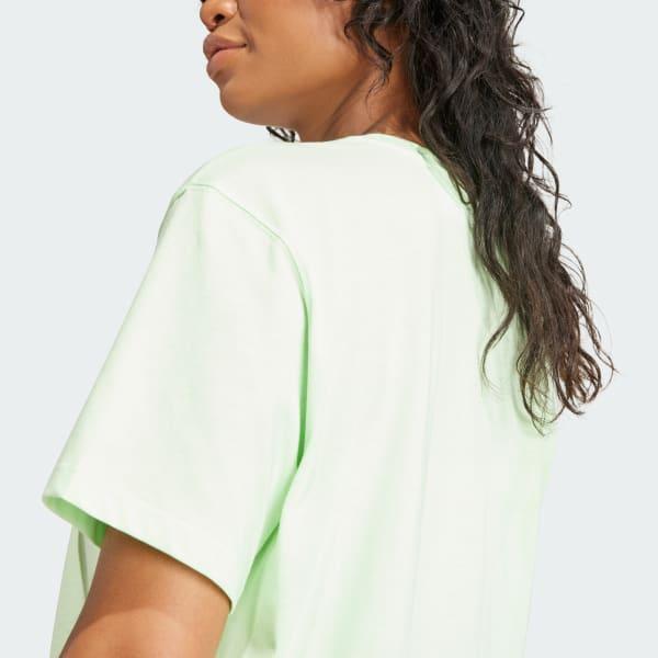 Adicolor Trefoil Boxy Tee Product Image