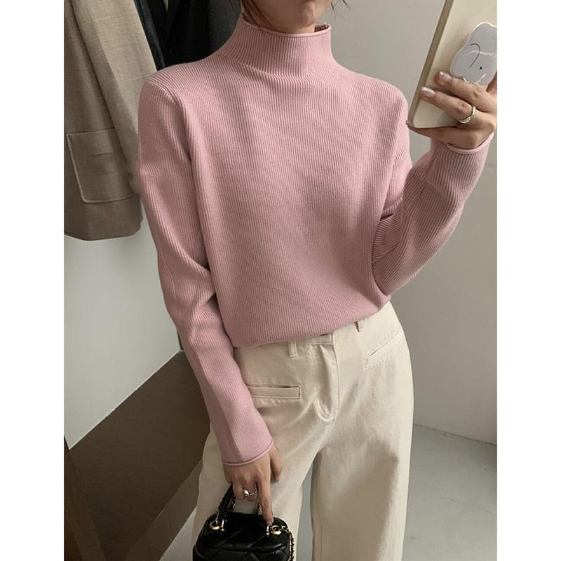 Long-Sleeve Turtleneck Ribbed Knit Top Product Image