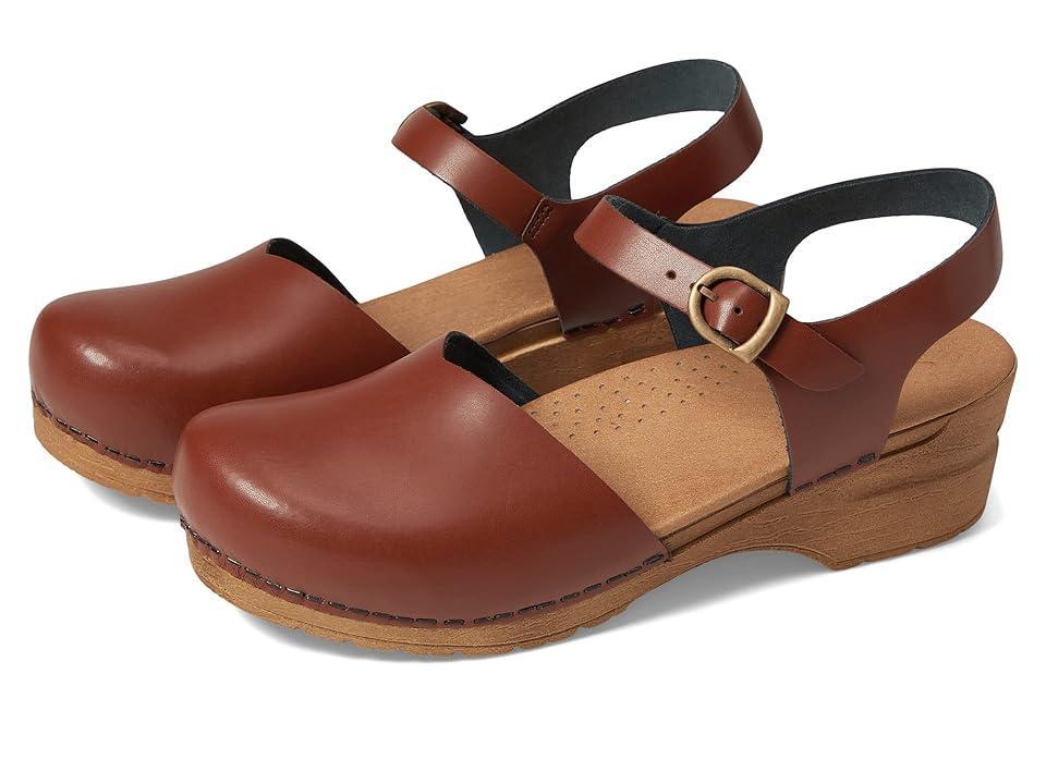 Sanita Sansi (Chestnut) Women's Shoes Product Image