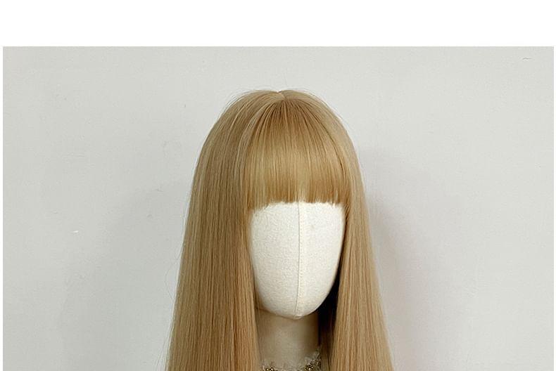 Long Full Wig - Straight Product Image