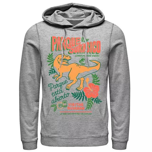 Mens Disney Maleficent Curses Never End Outline Hoodie Med Grey Product Image