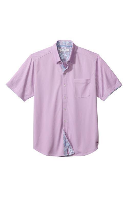 Tommy Bahama San Lucio Short Sleeve Button-Up Shirt Product Image