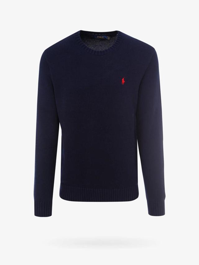 POLO RALPH LAUREN Sweater In Blue Product Image