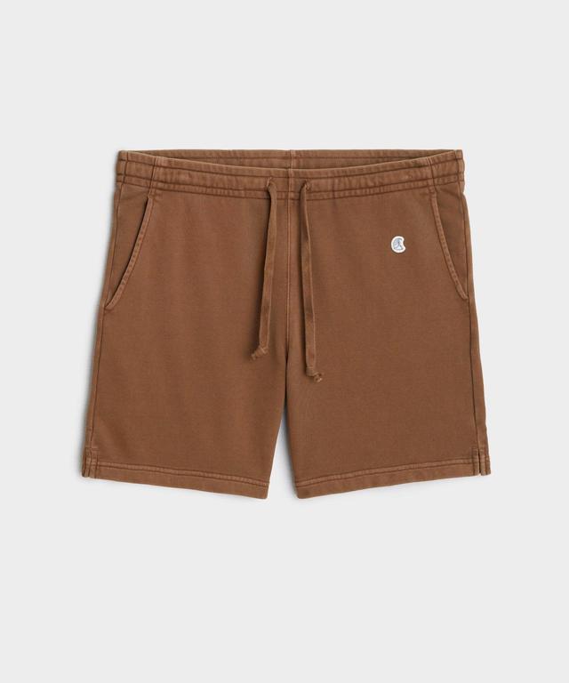 Champion 7" Midweight Warm Up Short in Glazed Pecan Product Image