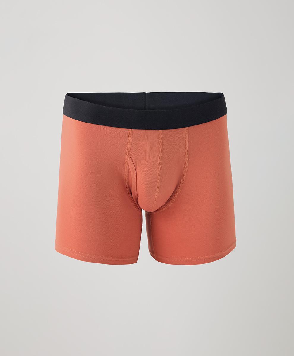 Mens Everyday Boxer Brief 2XL Product Image