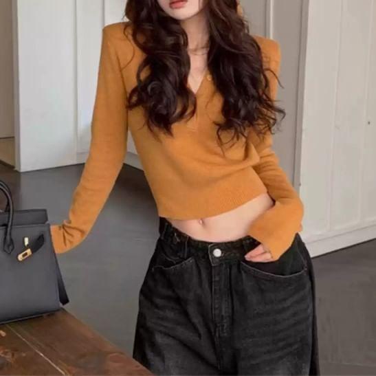 Long-Sleeve Henley Plain Hooded Crop Knit Top Product Image