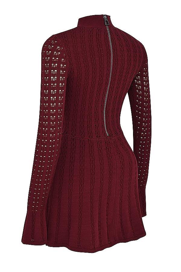 Evalina Wine Knit Corset Dress Product Image