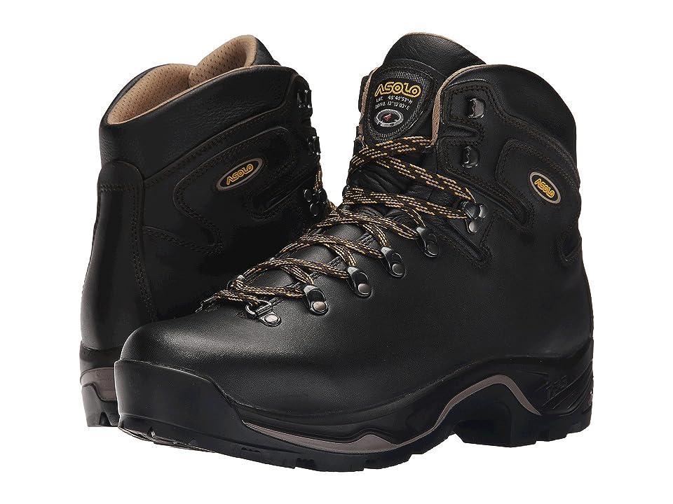 Asolo TPS 535 LTH V EVO (Brown) Men's Boots Product Image