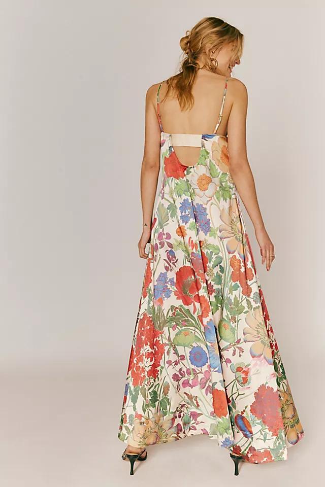 Botanical Maxi Dress Product Image