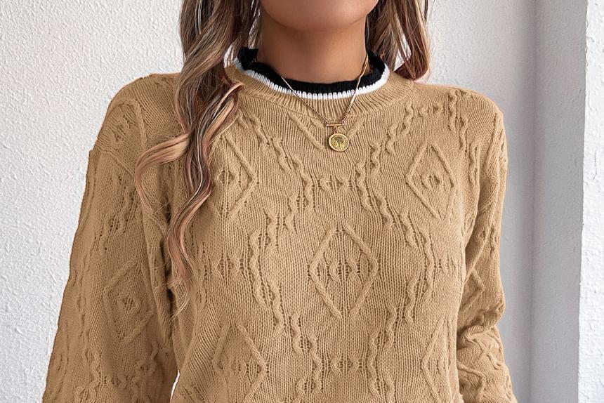 Round Neck Contrast Trim Sweater Product Image