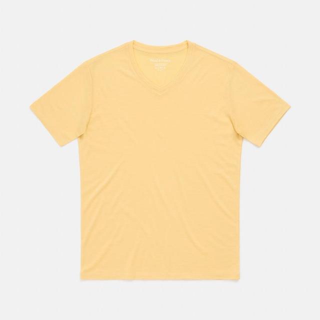 Signature Standard V-Neck Tee Product Image