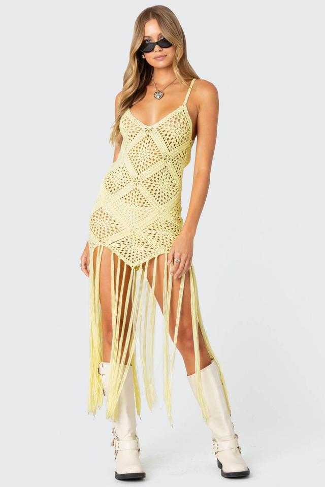 Fringey Crochet Maxi Dress Product Image