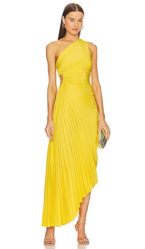 Womens Delfina Pleated One-Shoulder Gown Product Image