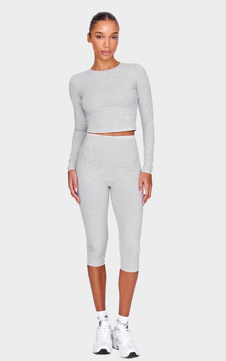 Ash Grey Sculpt Long Sleeve Crop Gym Top Product Image