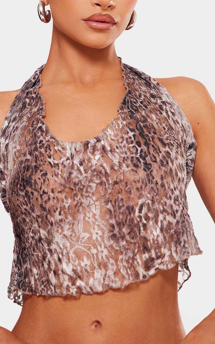 Petite Brown Crushed Lace Halterneck Crop Top Product Image