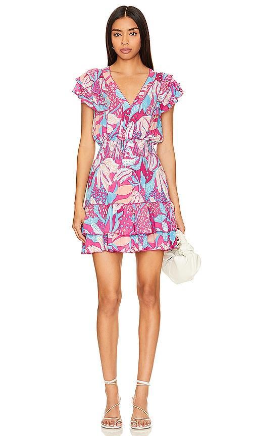 Camila Mini Dress Product Image