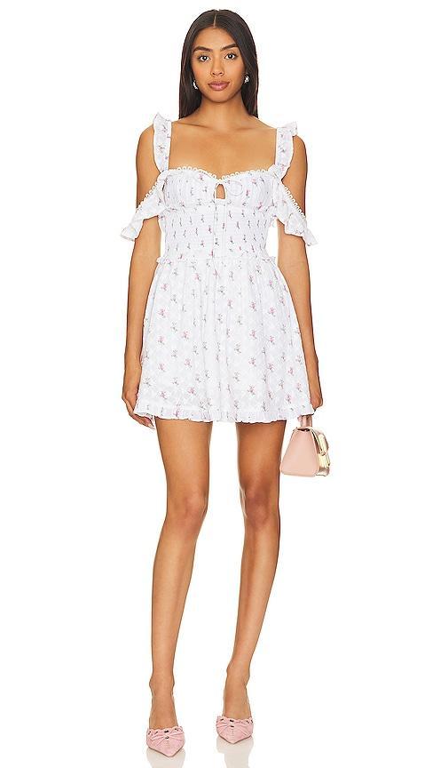 Palmero Mini Dress Product Image