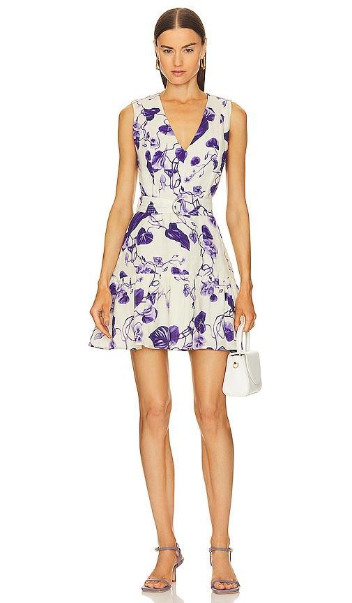 Viola Print Mini Dress Product Image