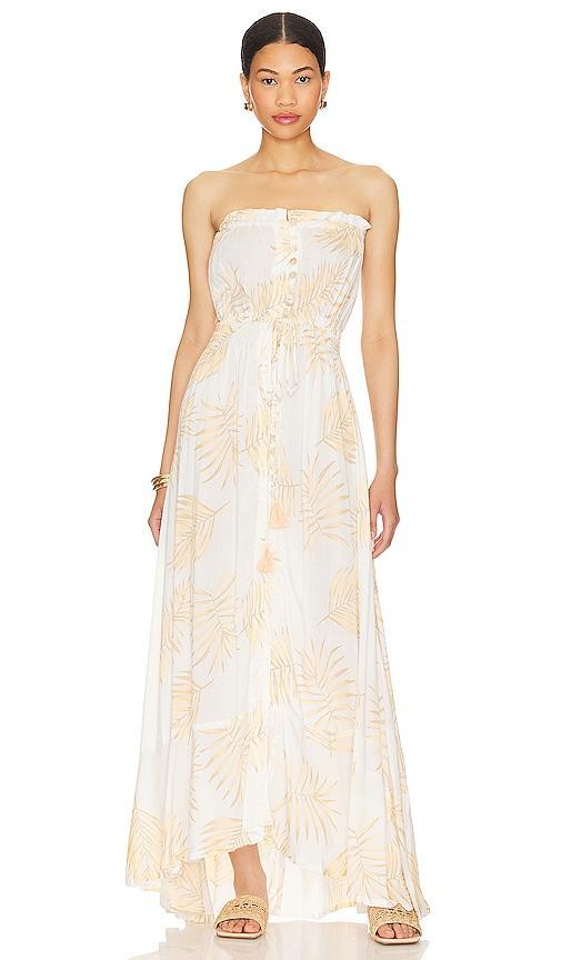 Ryden Maxi Dress Product Image