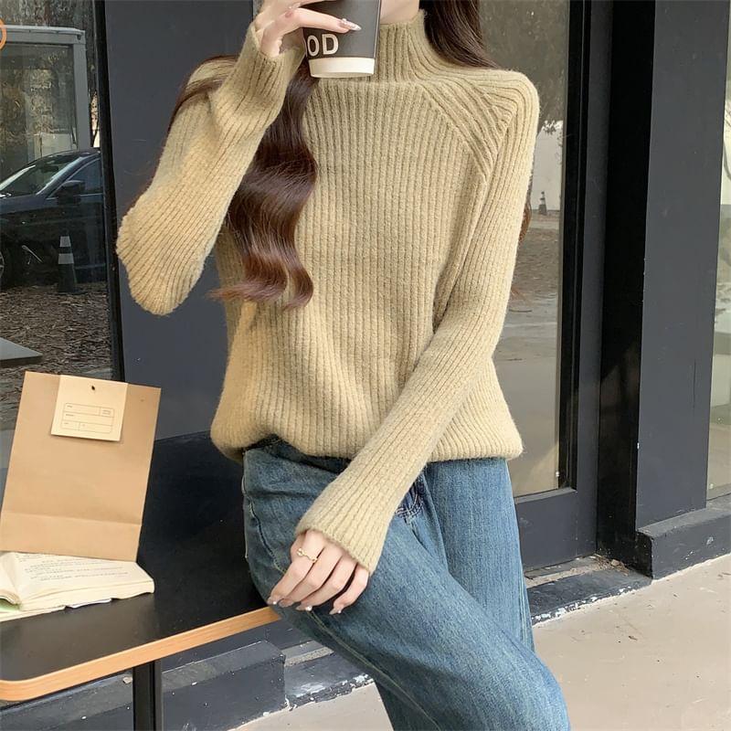 Long-Sleeve Turtleneck Ribbed Knit Top Product Image