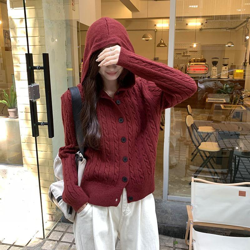 Hooded Cable Knit Cardigan Product Image