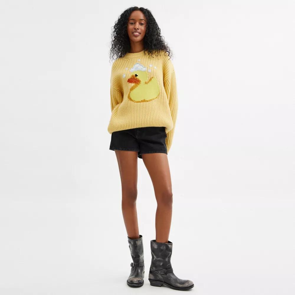 Crewneck Duck Sweater In Recycled Wool product image