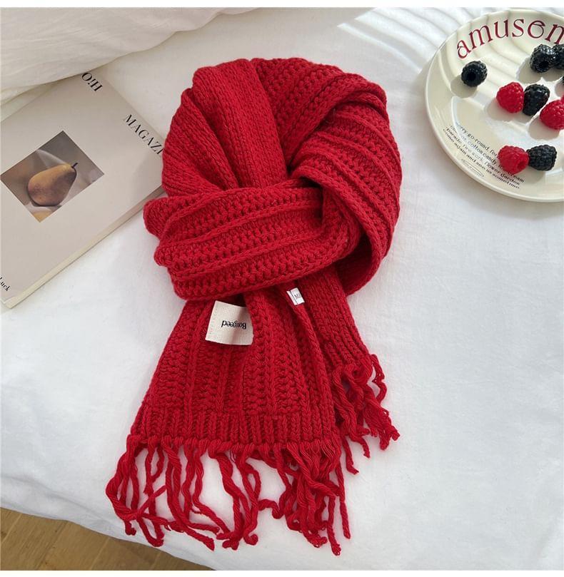 Plain Label Applique Tasseled Scarf Product Image