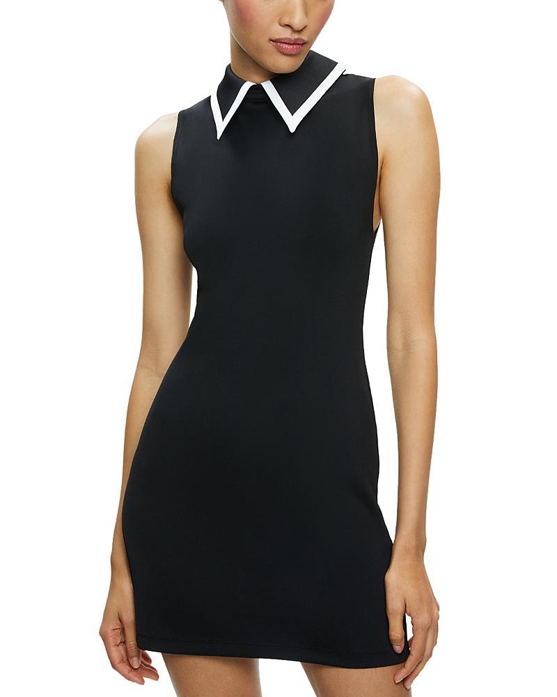 Alice and Olivia Wynell Collar Dress Product Image