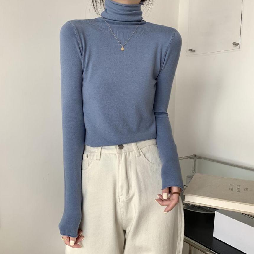 Long-Sleeve Turtleneck Plain Knit Top Product Image