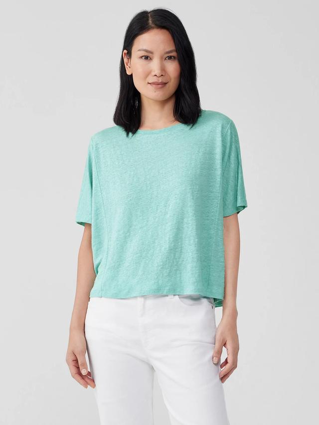 Eileen Fisher Boxy Dolman Organic Linen Top Product Image