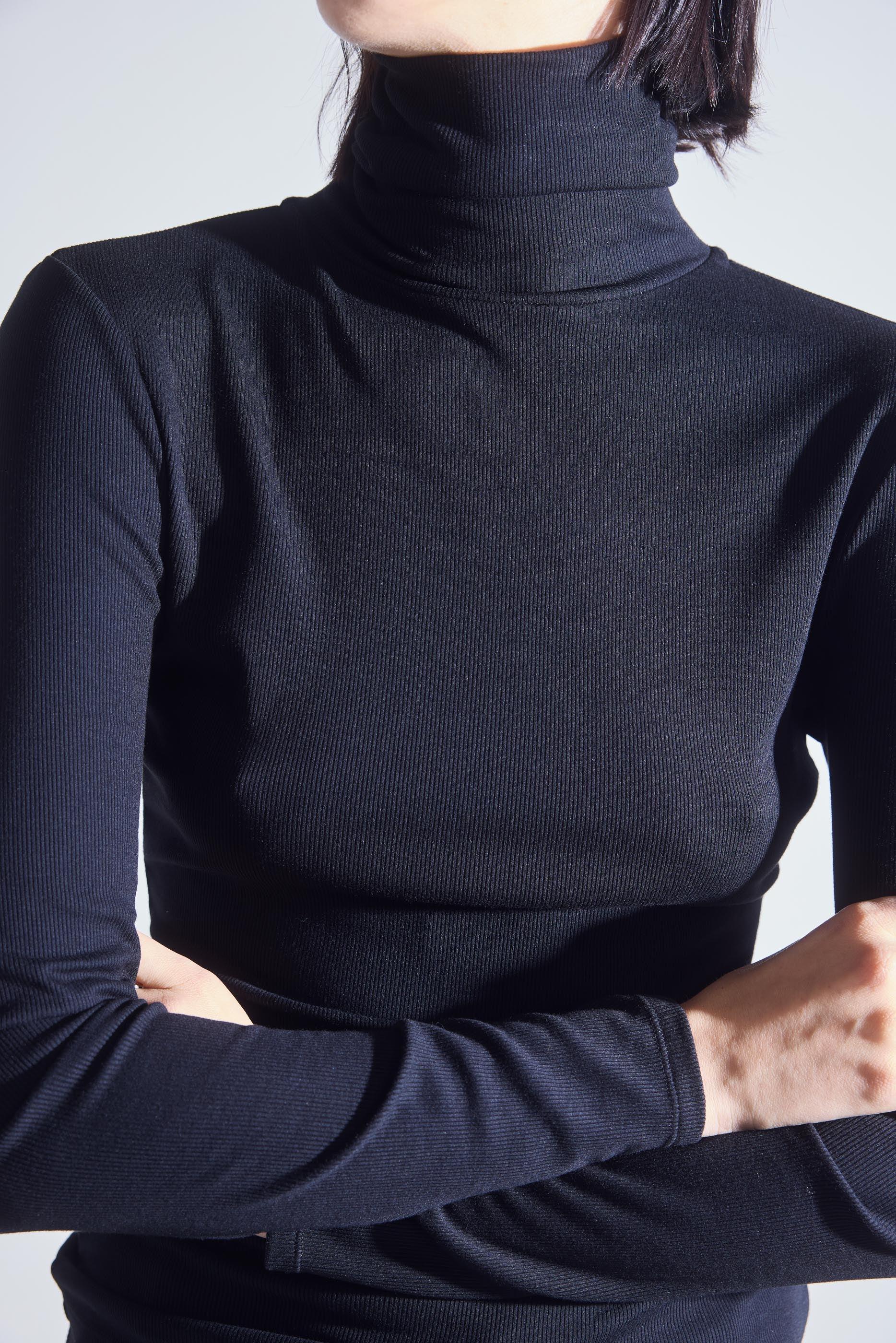 The Ribbed Turtleneck Product Image