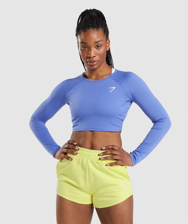 Training Long Sleeve Crop Top Product Image