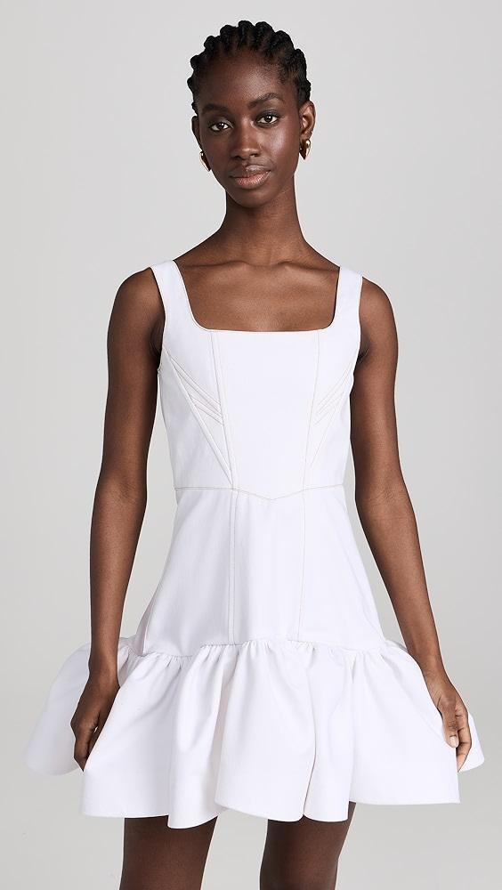 Bach Mai Corset Mini Volant Dress | Shopbop Product Image